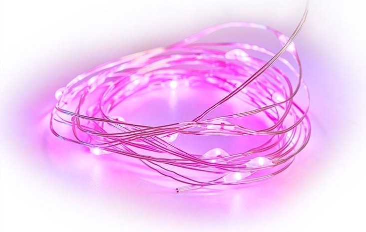 Гирлянда Neon-Night РОСА 2м 20 LED розовые (2*CR2032 в комплекте) [303-007]