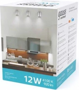 Потолочный светодиодный светильник GAUSS HD004 overhead накл цил 12w 920lm 4100k хром сатин Потолочный светодиодный светильник GAUSS HD004 overhead накл цил 12w 920lm 4100k хром сатин