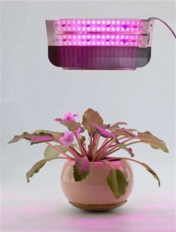 Прожектор фито для растенний GLANZEN RPD-0001-60-grow IP43 Прожектор фито для растенний GLANZEN RPD-0001-60-grow IP43